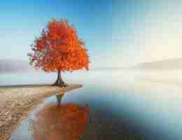 网‍页‍快‍照​如‌何​生​成‍二​维﻿码‍